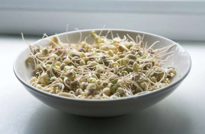 pasta dish on white ceramic bowl